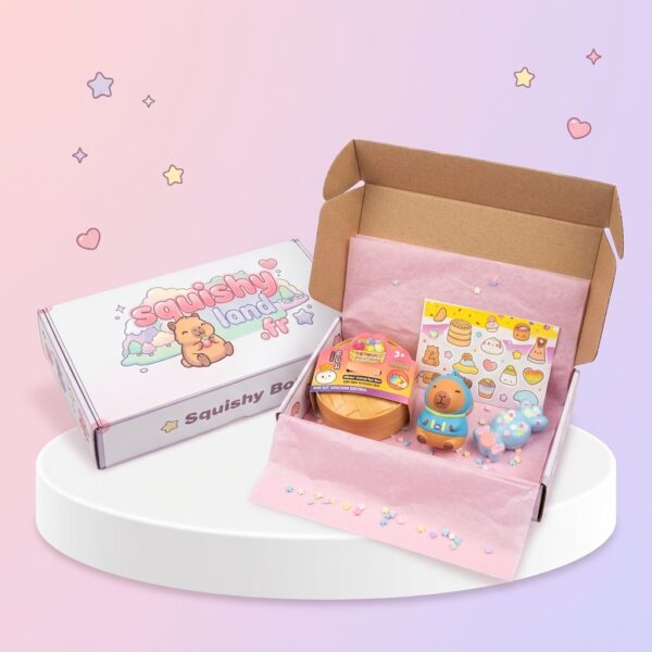 Coffret Cadeau Squishy Box Mini Boîte Squishy Land Capybara